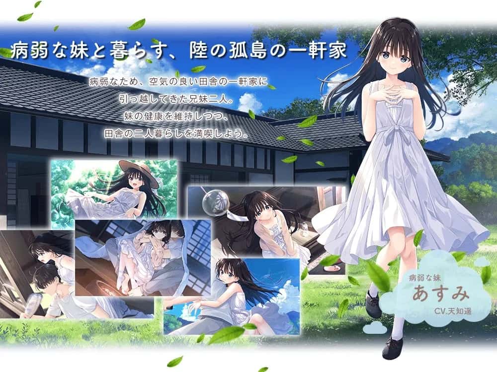 痴情哥哥与病弱妹妹的乡间生活 含新DLC1+2+3+4+5全息投影