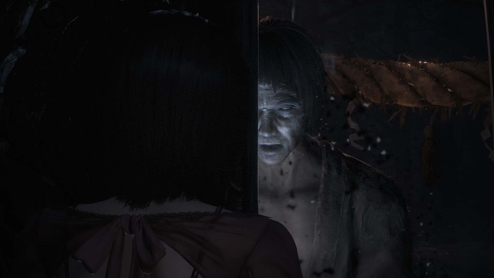 视觉数据5